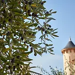 Airelles Chateau De La Messardiere
