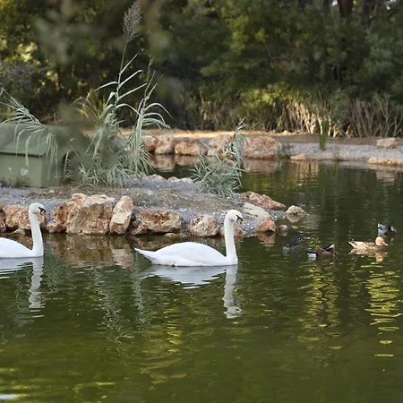 Airelles Chateau De La Messardiere 5* 圣特罗佩