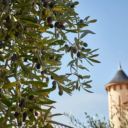 Airelles Chateau De La Messardiere